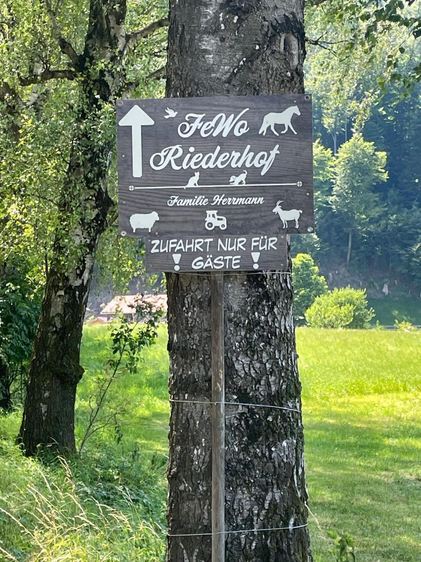 Apartmán Riederhof Flintsbach Exteriér fotografie